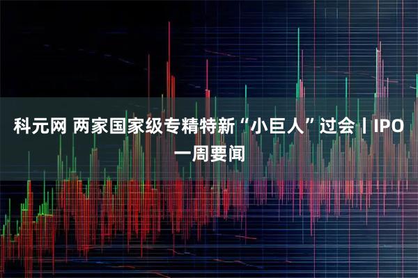 科元网 两家国家级专精特新“小巨人”过会丨IPO一周要闻