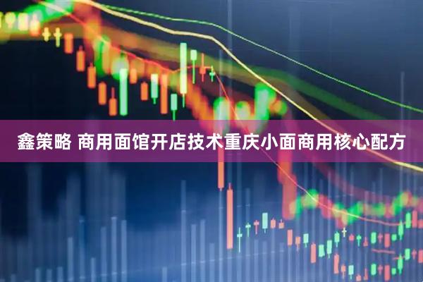 鑫策略 商用面馆开店技术重庆小面商用核心配方